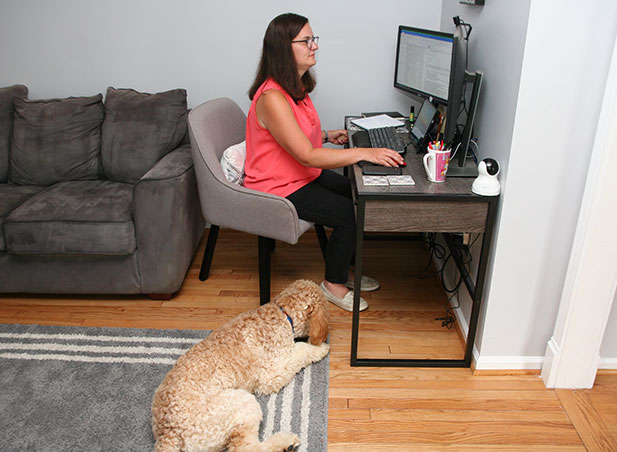 Employee working from home (teleworking)