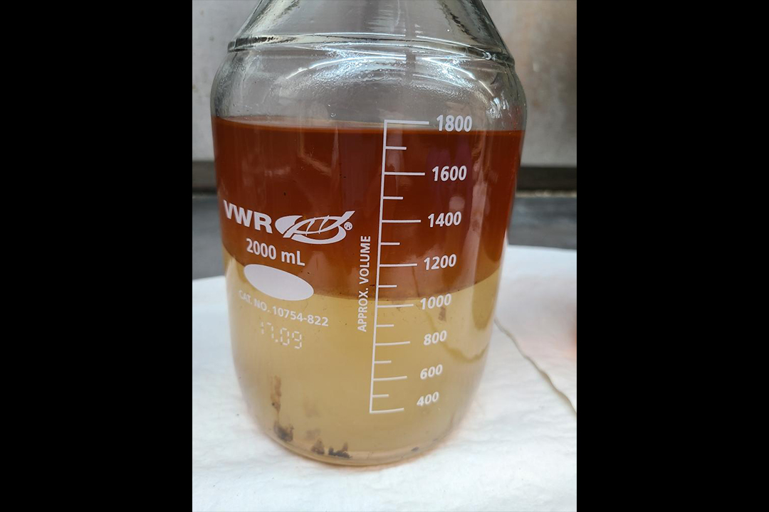 Image of liquid sample